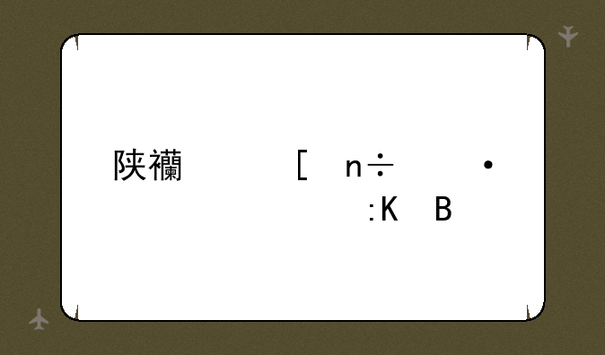 陕西外国语大学排名