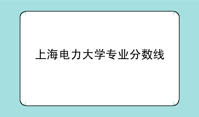 上海电力大学专业分数线