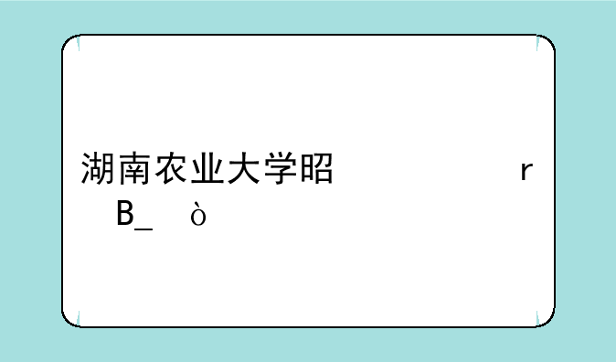 湖南农业大学是一本吗？