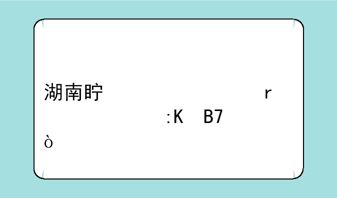 湖南真正一本大学排名？