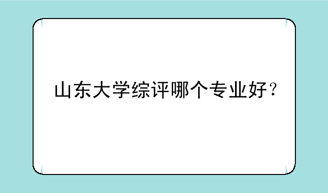 山东大学综评哪个专业好？
